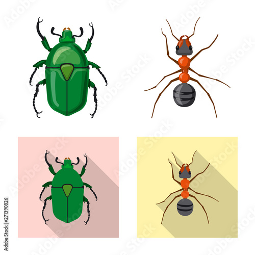 Vector design of insect and fly symbol. Collection of insect and element vector icon for stock.