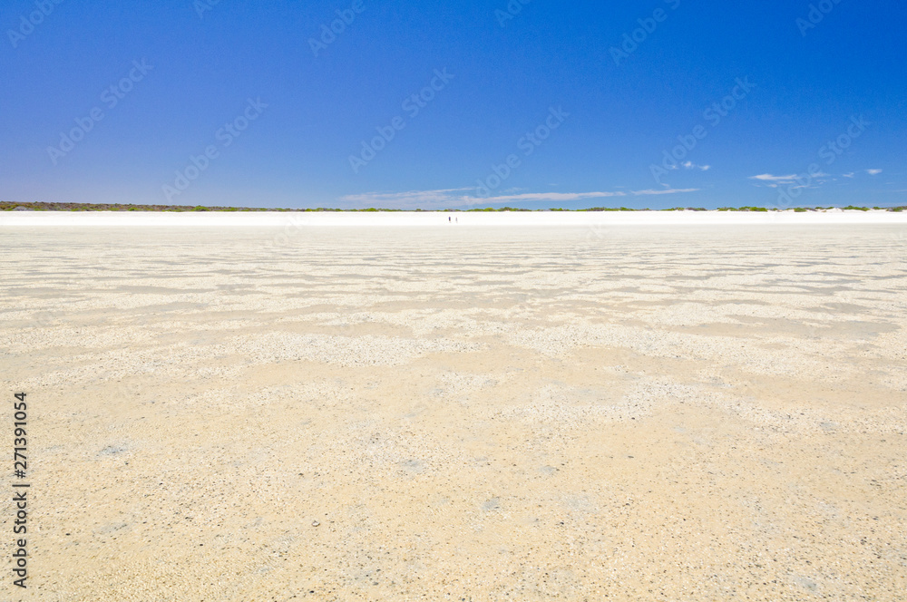 No sand just shells stretching for over 70 kilometres - Denham, WA, Australia