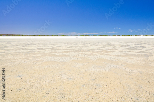 No sand just shells stretching for over 70 kilometres - Denham  WA  Australia