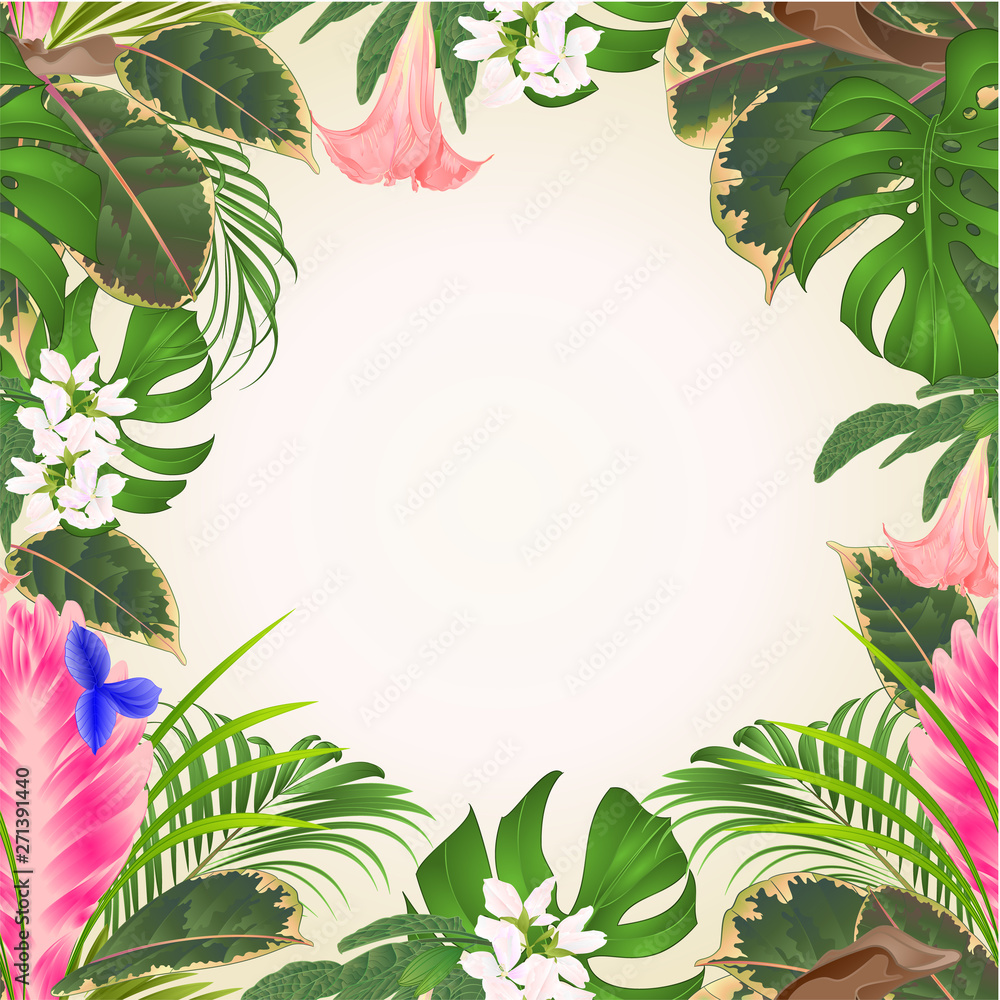 Naklejka premium Seamless frame Tillandsia cyanea bouquet with tropical flowers palm,philodendron on a white background vintage vector illustration editable hand draw