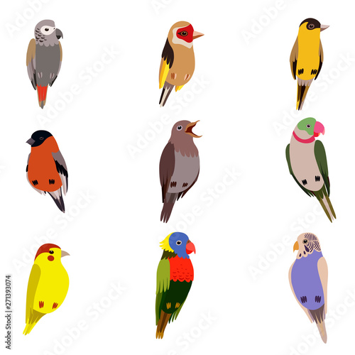 Little Birds Set, Amadin, Bullfinch, Canary, Parrot, Nightingale, Goldfinch, Budgerigar, Cute Home Pets Vector Illustration