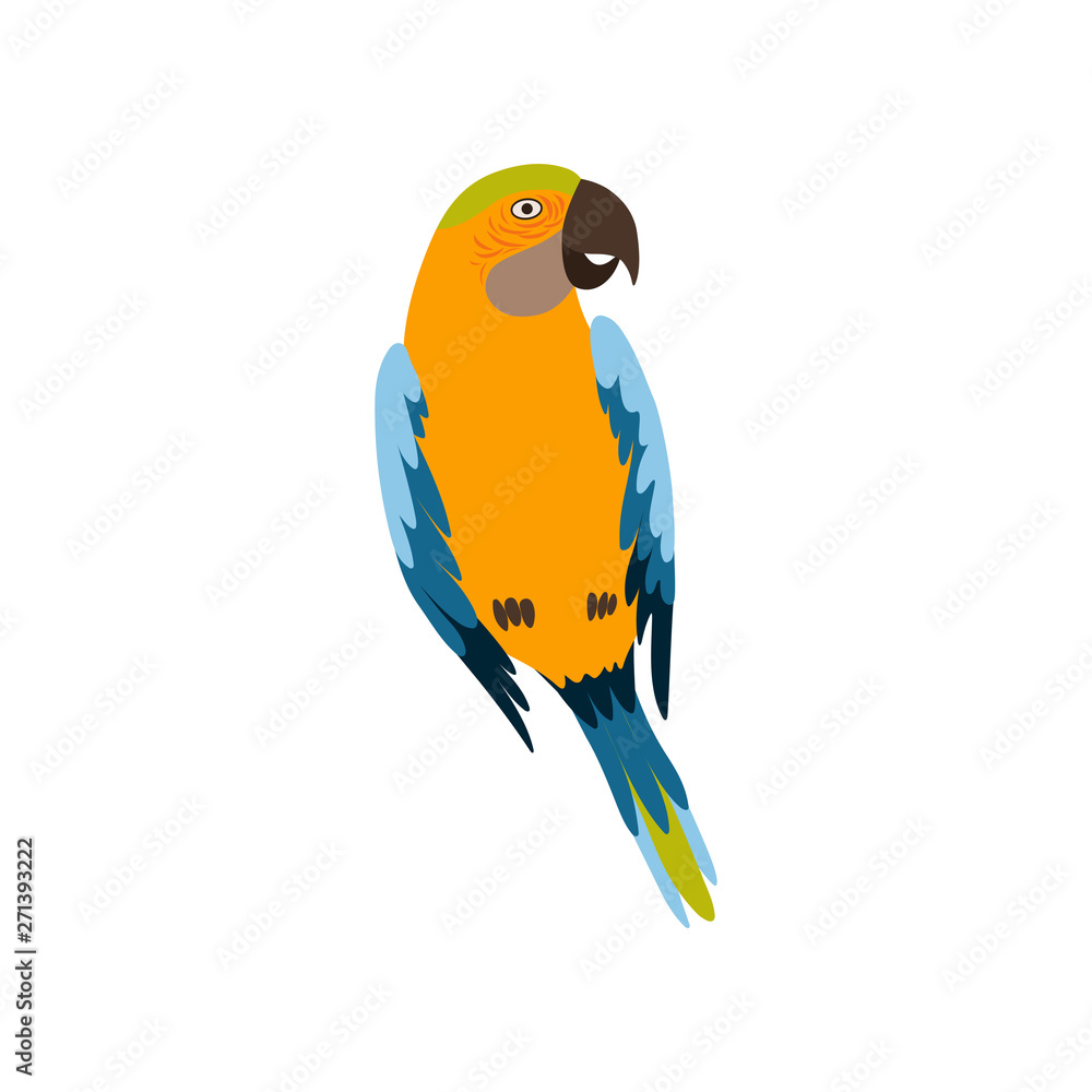 Parrot Bird, Cute Colorful Budgie Home Pet Vector Illustration