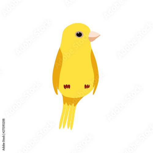 Little Canary Bird, Cute Yellow Budgie Home Pet Vector Illustration