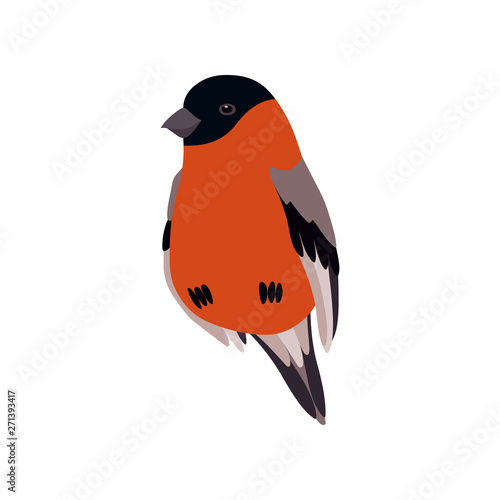 Little Bullfinch Bird, Cute Birdie Home Pet Vector Illustration