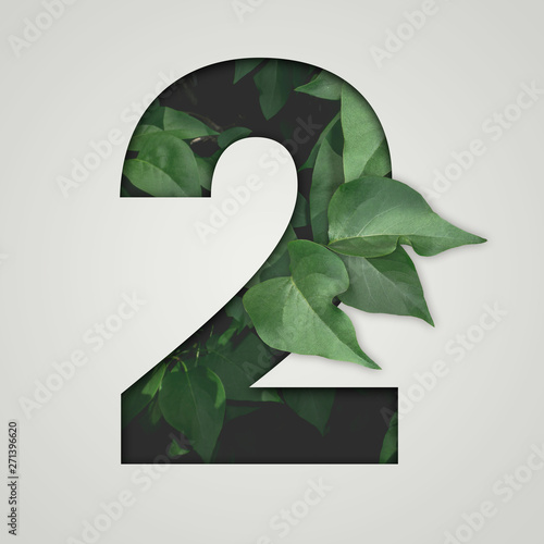 Nature concept. Creative number with green leaves on a gray background. Creative typography, Chapter in the presentation, template. 2 number two.