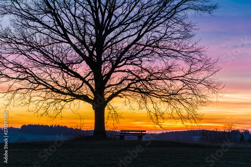 Winter wonderland in germany at sunset © kugelwolf