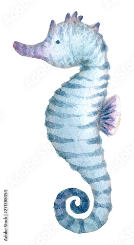 Hand painted watercolor sea Horse. Hand drawn illustration isolated on white background. Watercolor sea animal clipart.