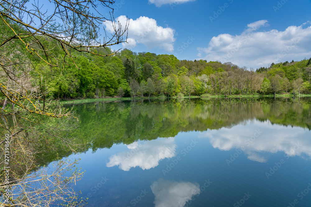Fototapeta premium panoramic view on holzmaar, eifel, germany
