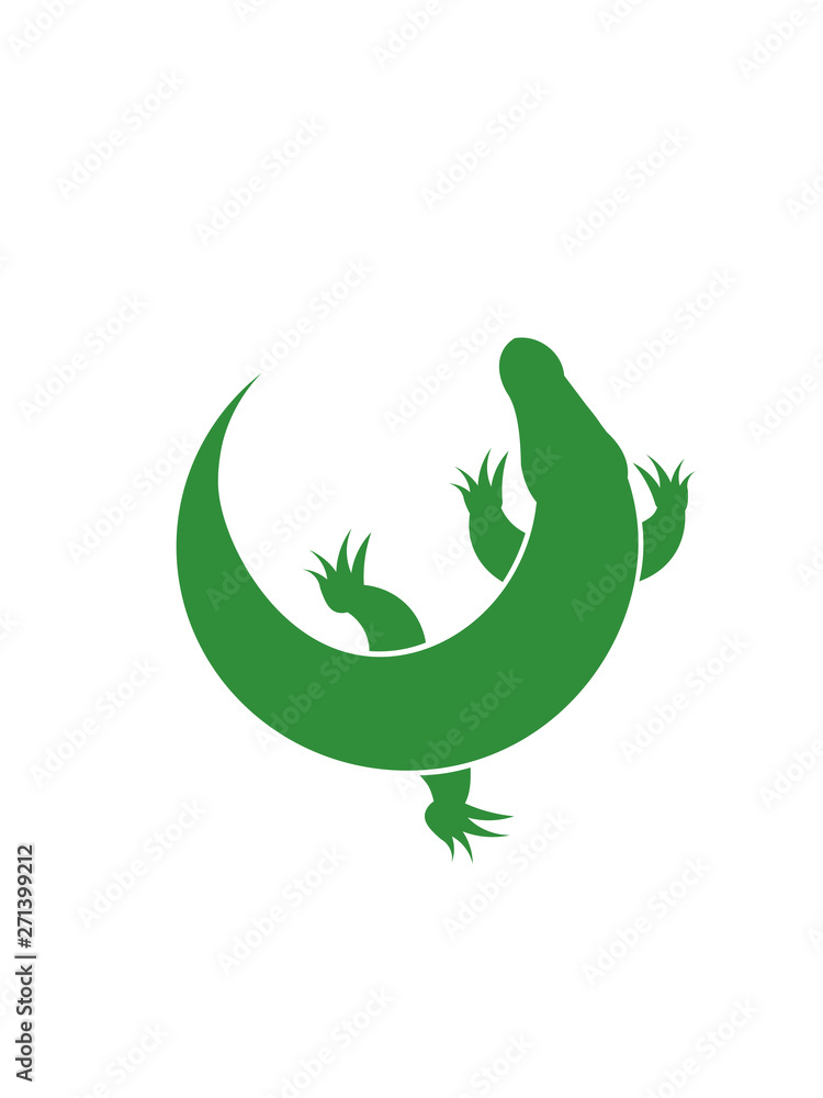 Naklejka premium Crocodile on a white background