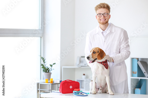 Veterinarian examining cute...
