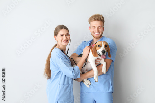 Veterinarians with cute dog on light background photo