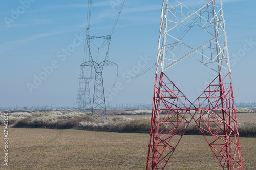 Electricity poles over a field with spring blossom bushes