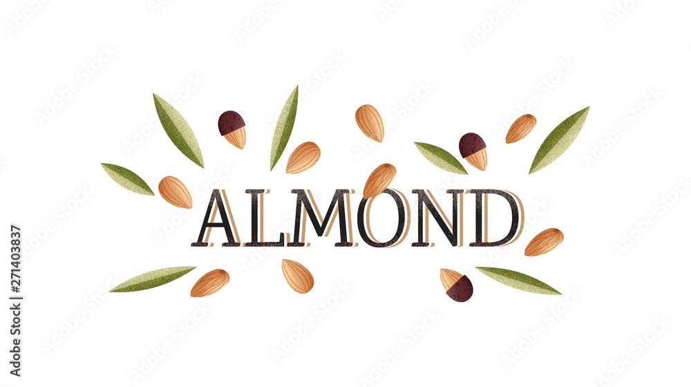 Almond word with realistic illustration of almond and leaves on white background. Vector illustration. Almond word with realistic illustration of almond and leaves on white background. Vector illustration.