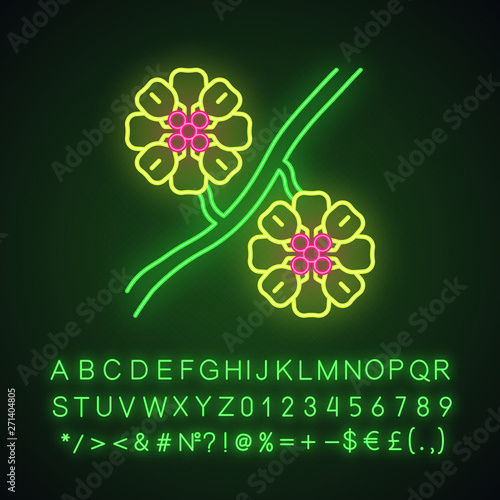 Whitestem paperflower neon light icon photo