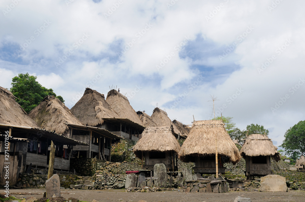 Traditional grass hut in the Bena minority village on the Flores island near Bajawa