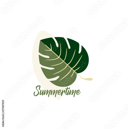 Summer vector logo design - tropical leaf of Monstera plant close-up isolated. Exotic leaves - summer style