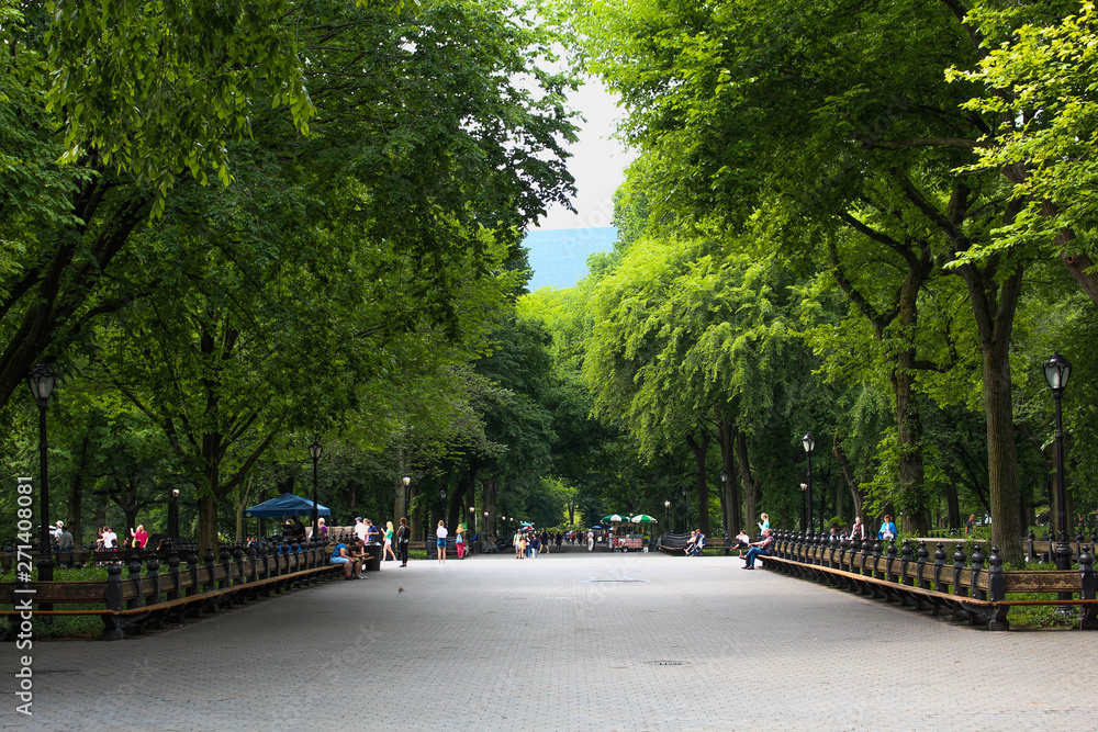 Fototapeta premium Central park