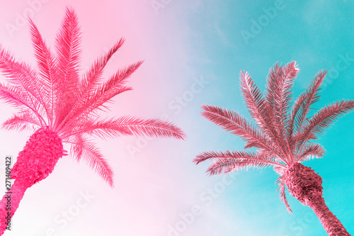 Two tall palm trees on toned gradient pink blue sky with light fluffy clouds. Creative trendy summer tropical background. Vacation travel concept. Copy space © olindana