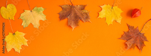 Dry autumn leaves as a frame template
