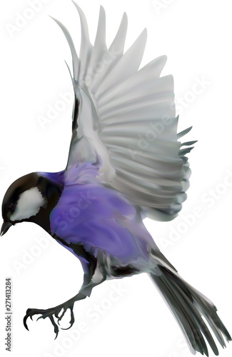 illustration with lilac tit in flight