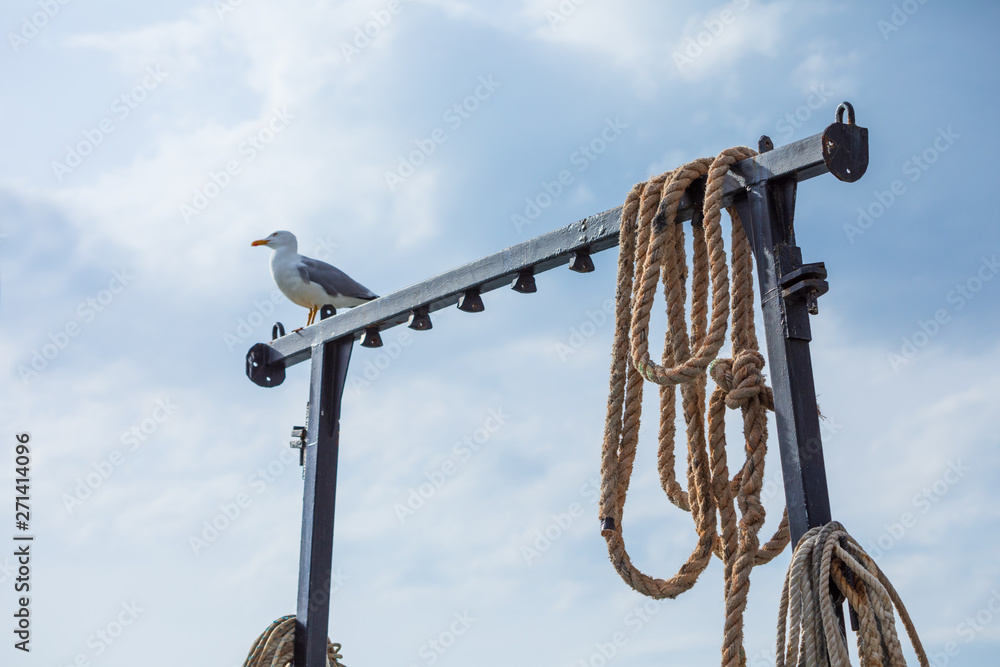 Metal carcass in the port with ropes and a seagull on it against the blue sky