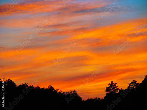 Landscape with sunset and silhouettes of trees. Beautiful view of bright colorful sky happened on evening decline in the summer evening. © mivod