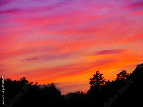 Landscape with sunset and silhouettes of trees. Beautiful view of bright colorful sky happened on evening decline in the summer evening. © mivod