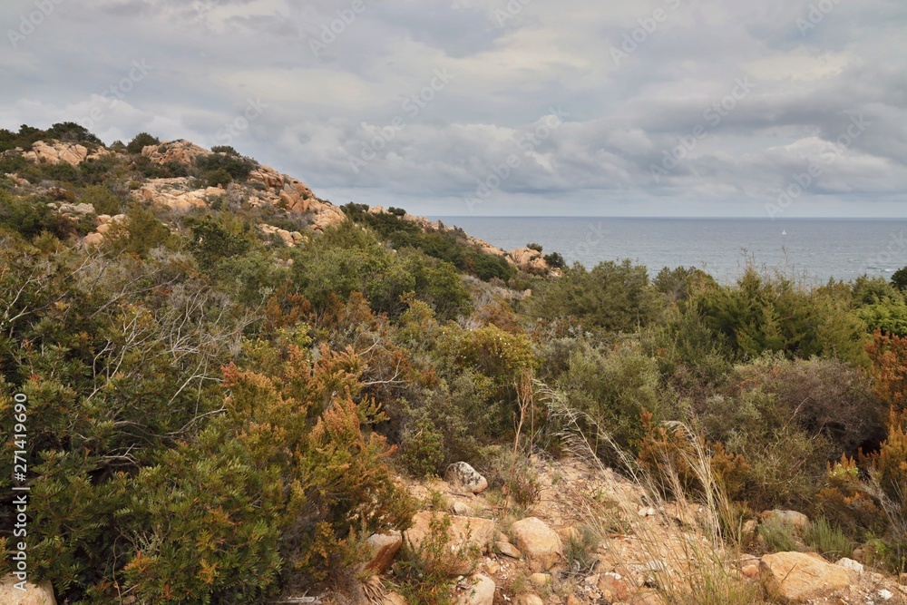 Fototapeta premium Salita al faro