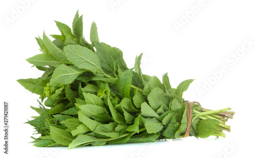 Fresh wild mint leaves. herbs mint. on white isolated background. close-up