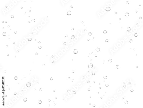 Vector rain water drops on white background. Pure realistic droplets condensed.  photo