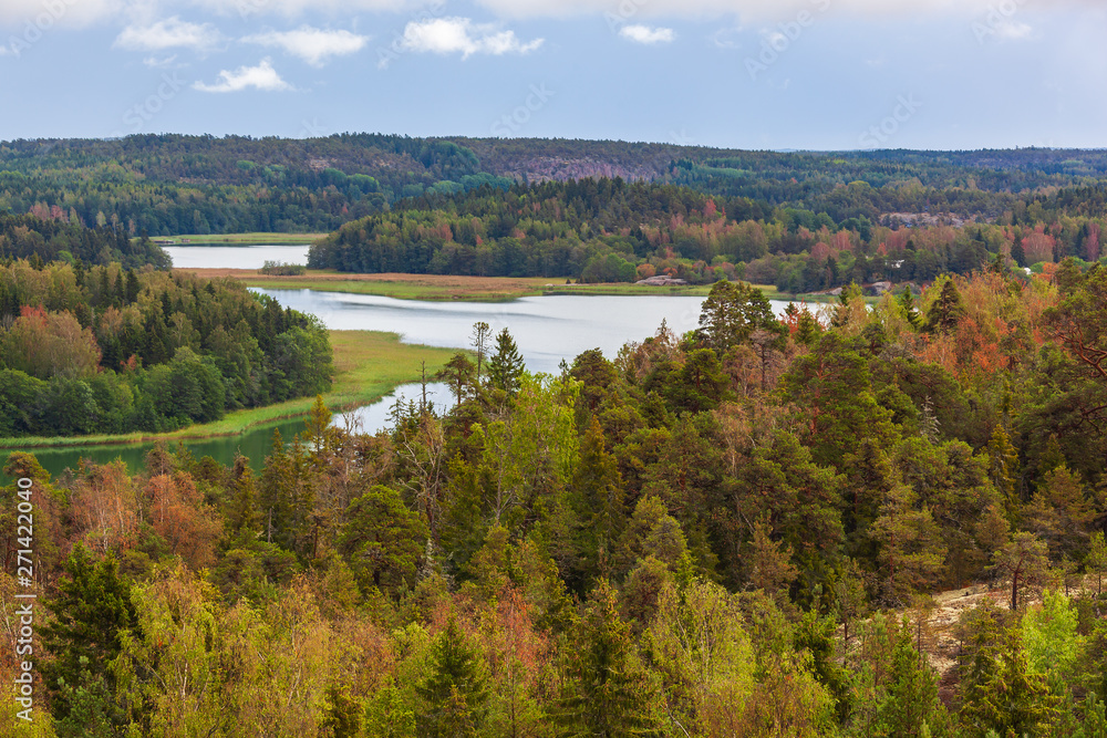 Naklejka premium Aerial view of nature landscape with river and sea channel among the forest at Aland Islands, Finland