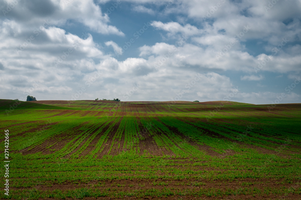 Agricultural landscape with rolling hills Agricultural landscape with rolling hills