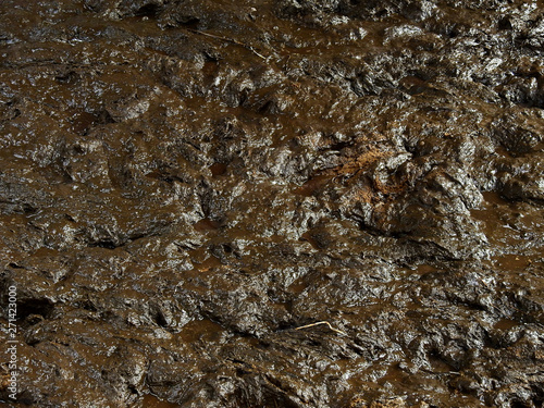 wet mud texture