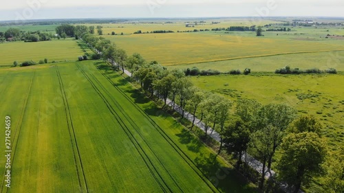 Wallpaper Mural Aerial view. Beautiful view from the drone of arural road among green trees, next to green field. On bright sunny day Torontodigital.ca