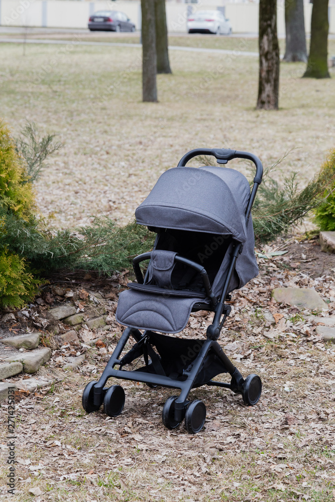 Beautiful baby carriage in the park. New design. Beautiful baby carriage in the park. New design.
