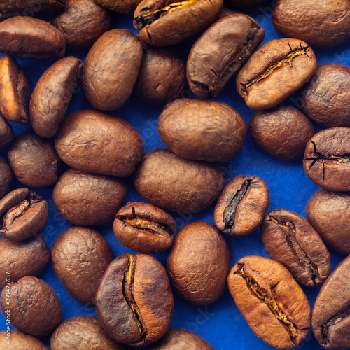 Arabica coffee beans on blue background.