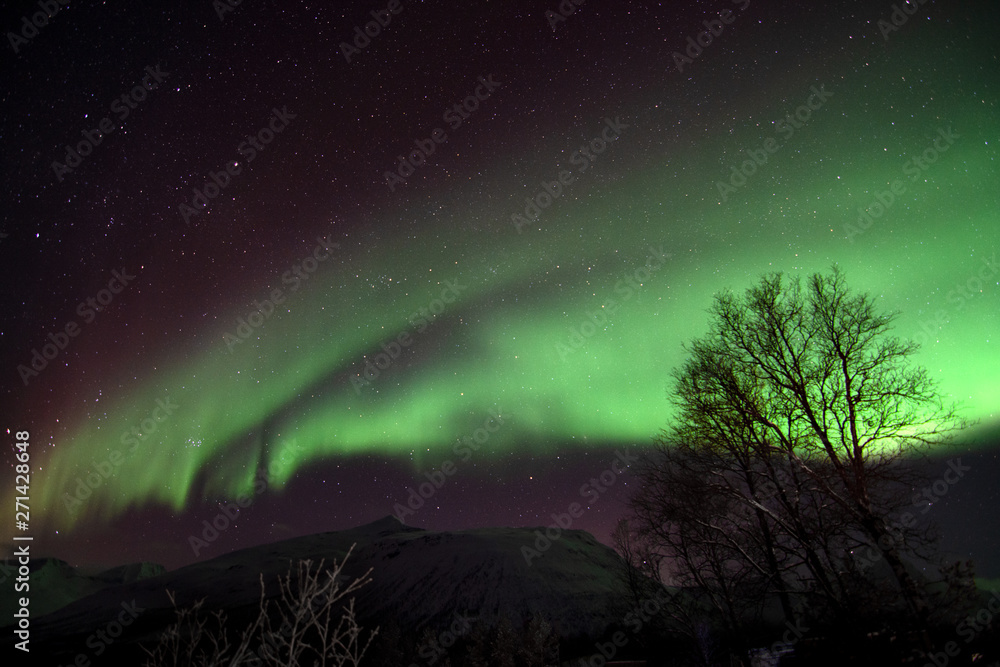 Nordlichter Tromsö