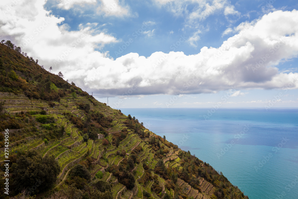 Corniglia / Italy - April 28 2019: View of the vineyards and cliffs surrounding Corniglia (Cinque Terre) from the nearby hiking trails.