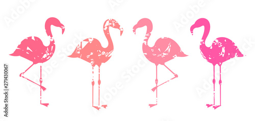 Group of abstract pink flamingos shapes isolated on white background.