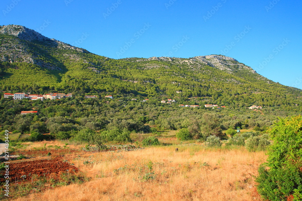 Village Babino polje on Island Mljet in Croatia Village Babino polje on Island Mljet in Croatia