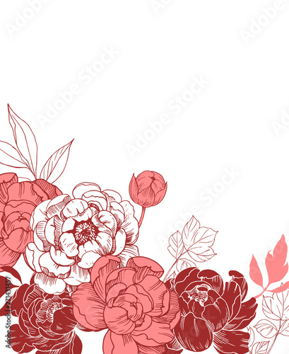Background with peony flowers. Floral comtosition. Hand drawn elements converted to vector