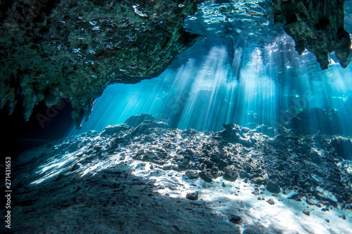 Underwater Gran Cenote Yucatan Mexico photo