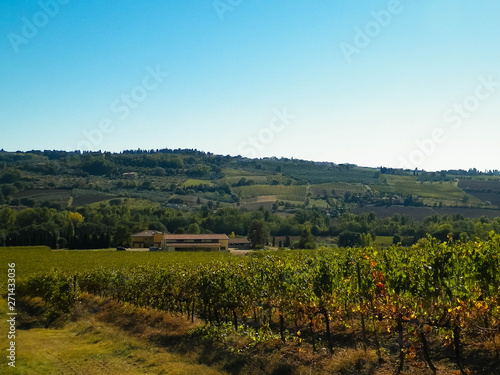 Landscape of the Tuscan vineyards, Chianti region, Italy