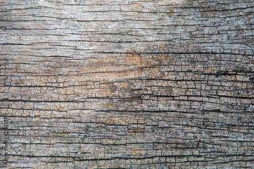 Beautiful background from old wooden.
