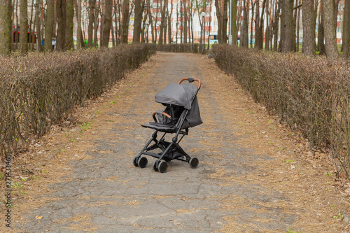 Beautiful baby carriage in the park. New design.