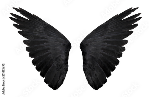 two big black raven wings isolated on white background
