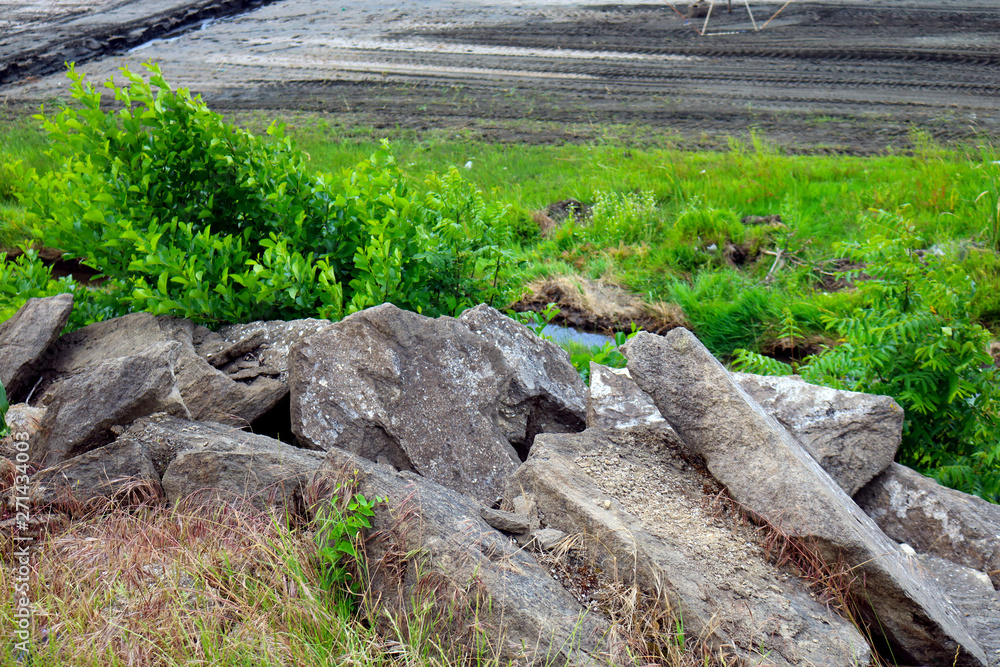 Large rock stones between greenery Large rock stones between greenery
