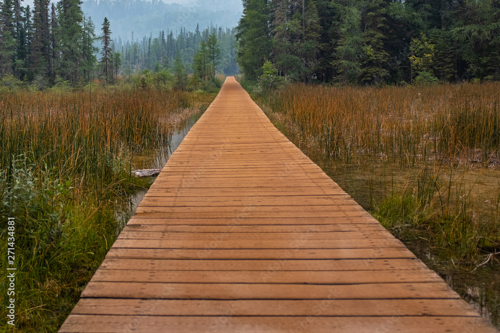 Fototapeta premium A brown boardwalk leading into the forest with reeds flanking leads from Liard River Hot Springs, the background is hazy from the wildfire smoke, nobody in the image