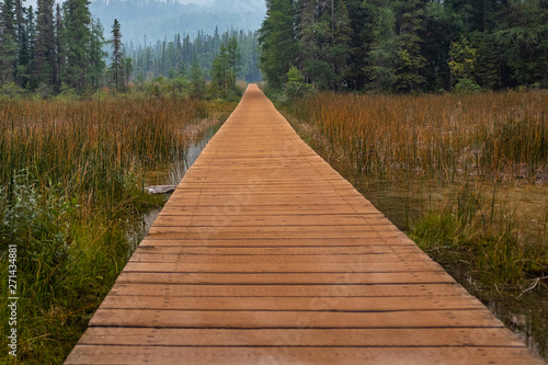 A brown boardwalk leading into the forest  with reeds flanking leads from Liard River Hot Springs, the background is hazy from the wildfire smoke, nobody in the image