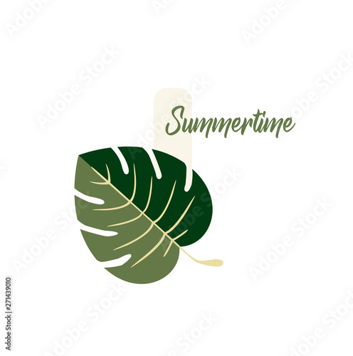Summer Logo Vector Design - Tropical Monstera Leaf Plant Close-up - Summer Time